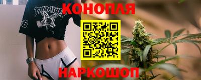 гашик Усть-Илимск