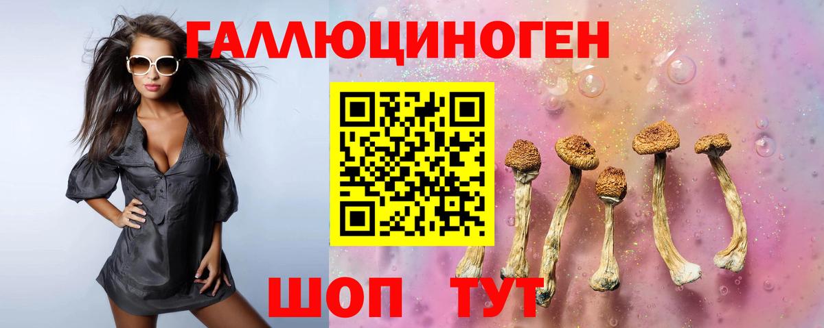 Галлюциногенные грибы Psilocybine cubensis  Вход с VPN  Артём 