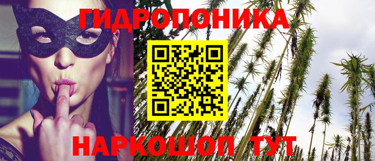 Бошки Шишки индика  Марихуана сатива  Артём  Вход с VPN  Конопля ГИДРОПОН 